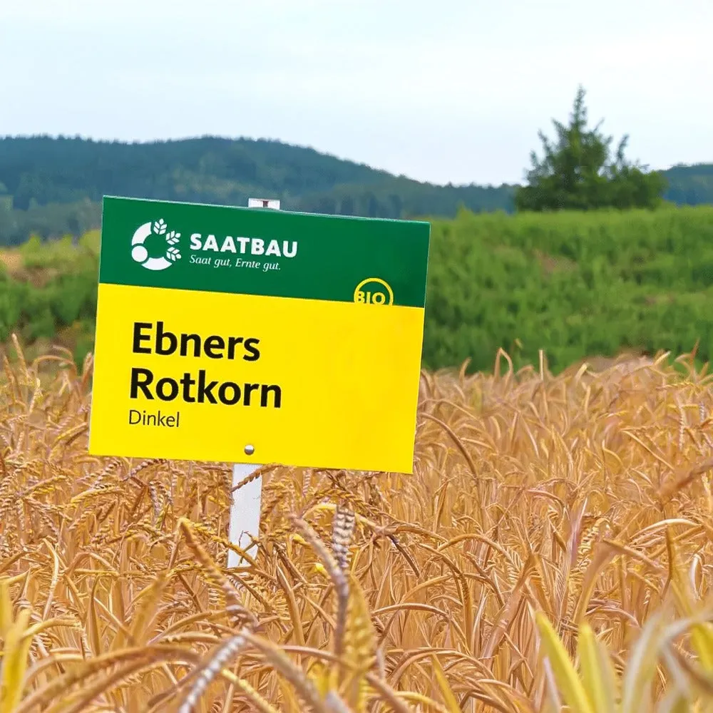 Ebners Rotkorn Seme Farro Bio Invernale 20kg