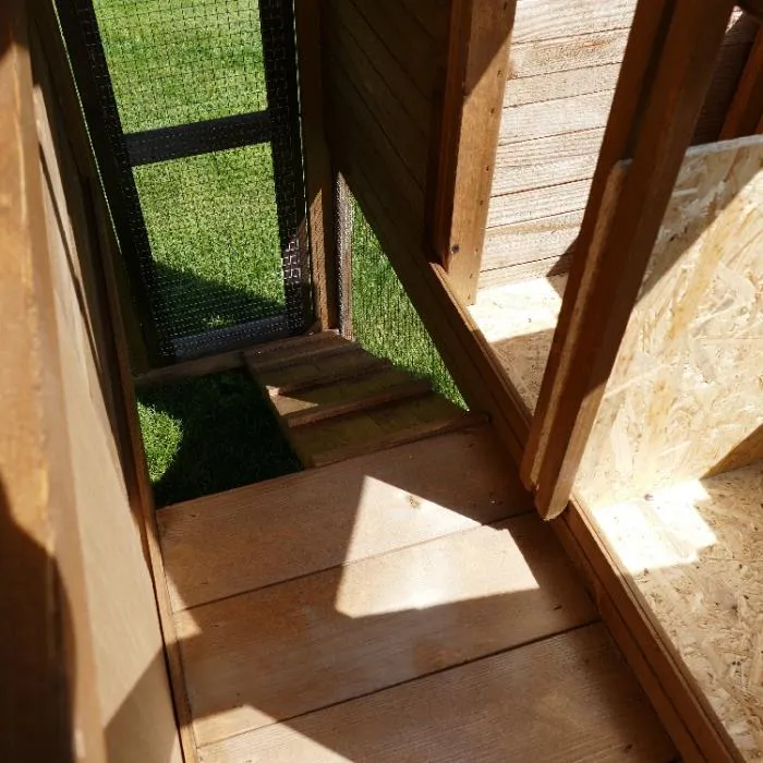 Il Verde Mondo Orpington pollaio legno doppio giardino