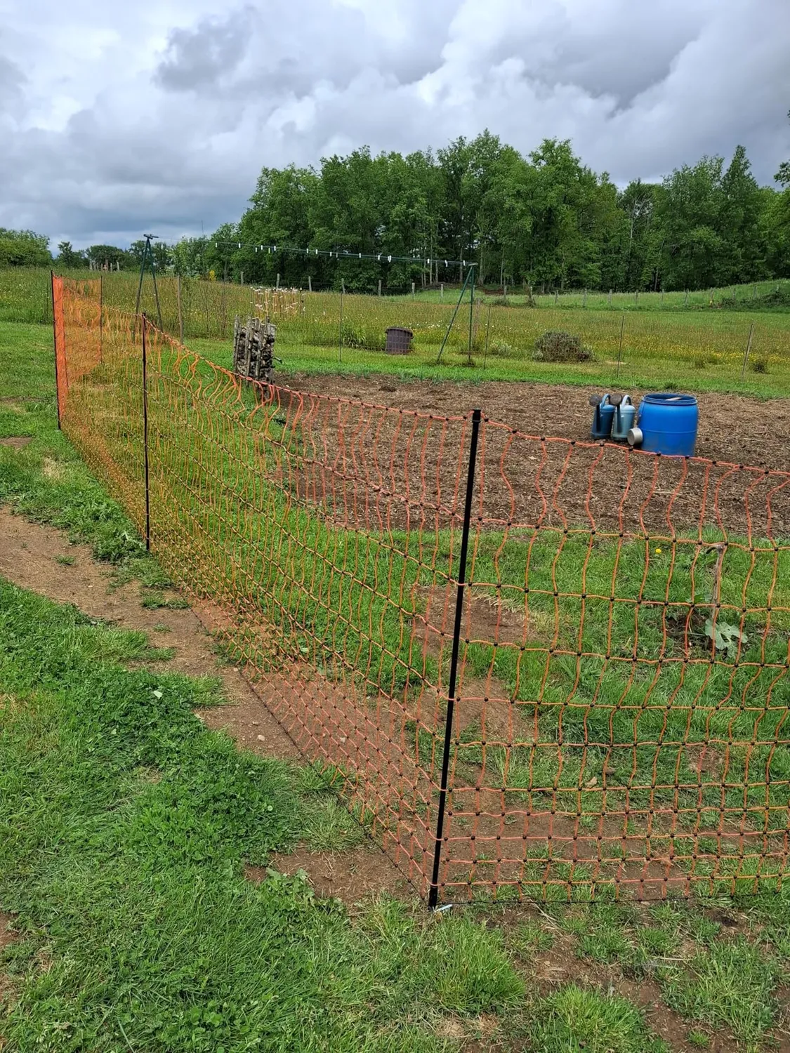 VOSS.farming farmNET+ Rete Pollame 50 m 112 cm Arancione