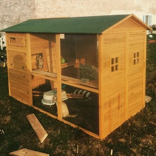 Il Verde Mondo Brahma XXXXL pollaio legno nido singolo