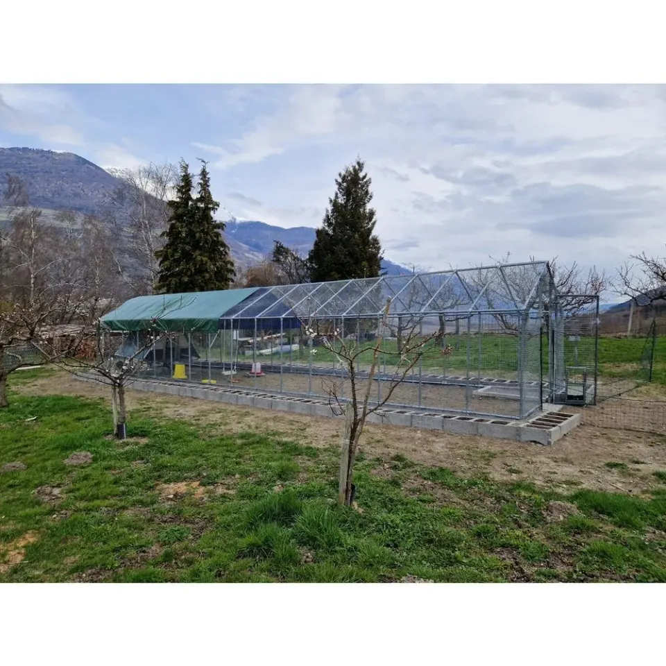 Il Verde Mondo Antipredatore recinto zincato 2,7x6 m con telo
