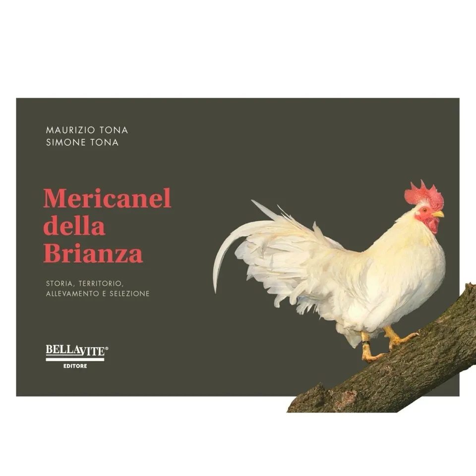 Il Verde Mondo Mericanel della Brianza Libro Avicoltura