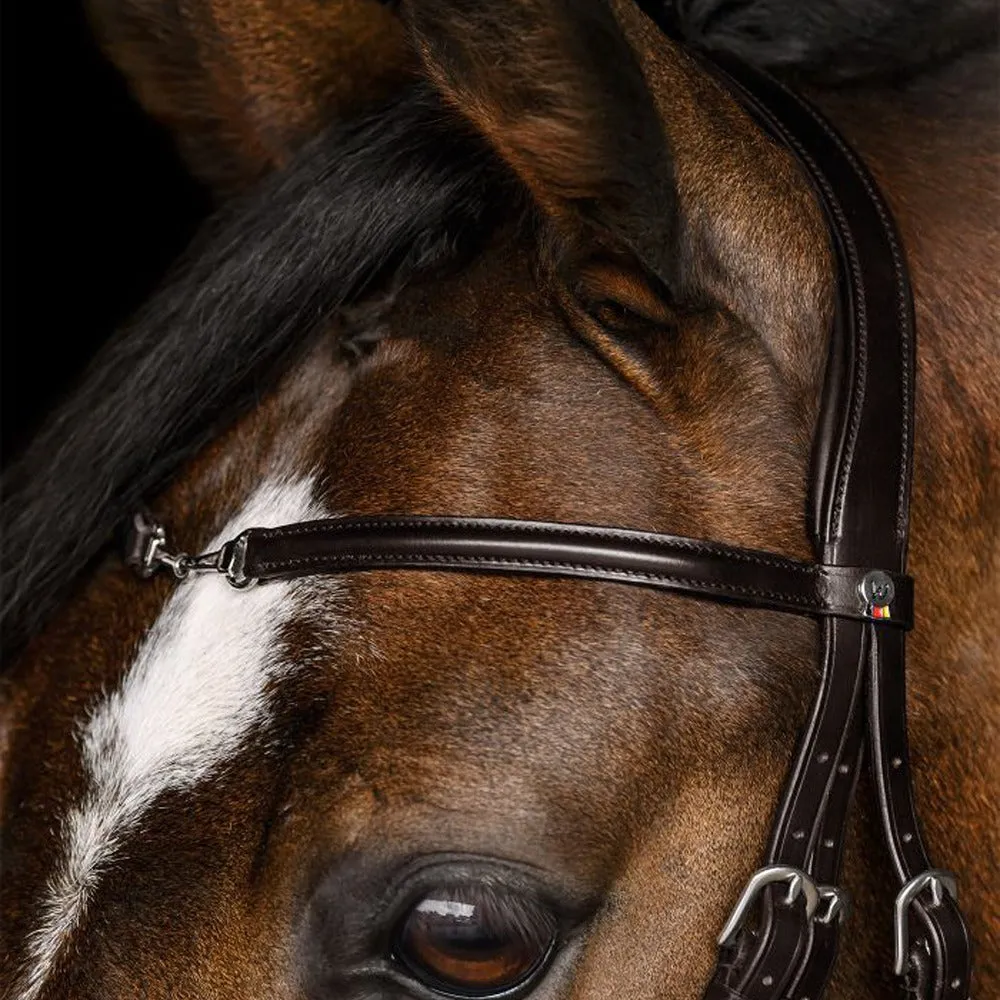 Waldhausen X-Line Charmbit Briglia Cavallo Anatomica