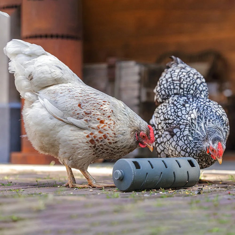 Beikircher Snack Roll mangiatoia gioco per galline riciclata