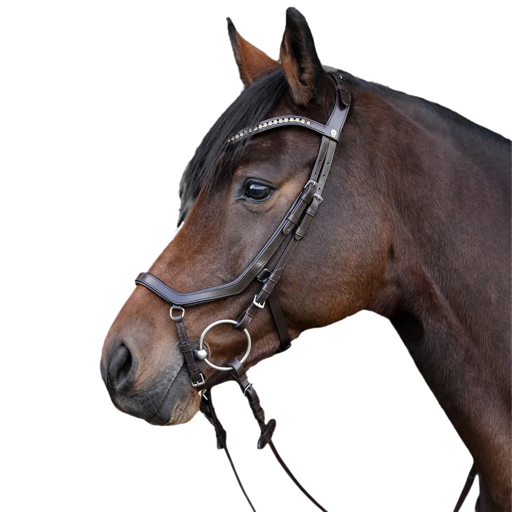 Waldhausen X-Line testiera cavallo anatomica nera WB