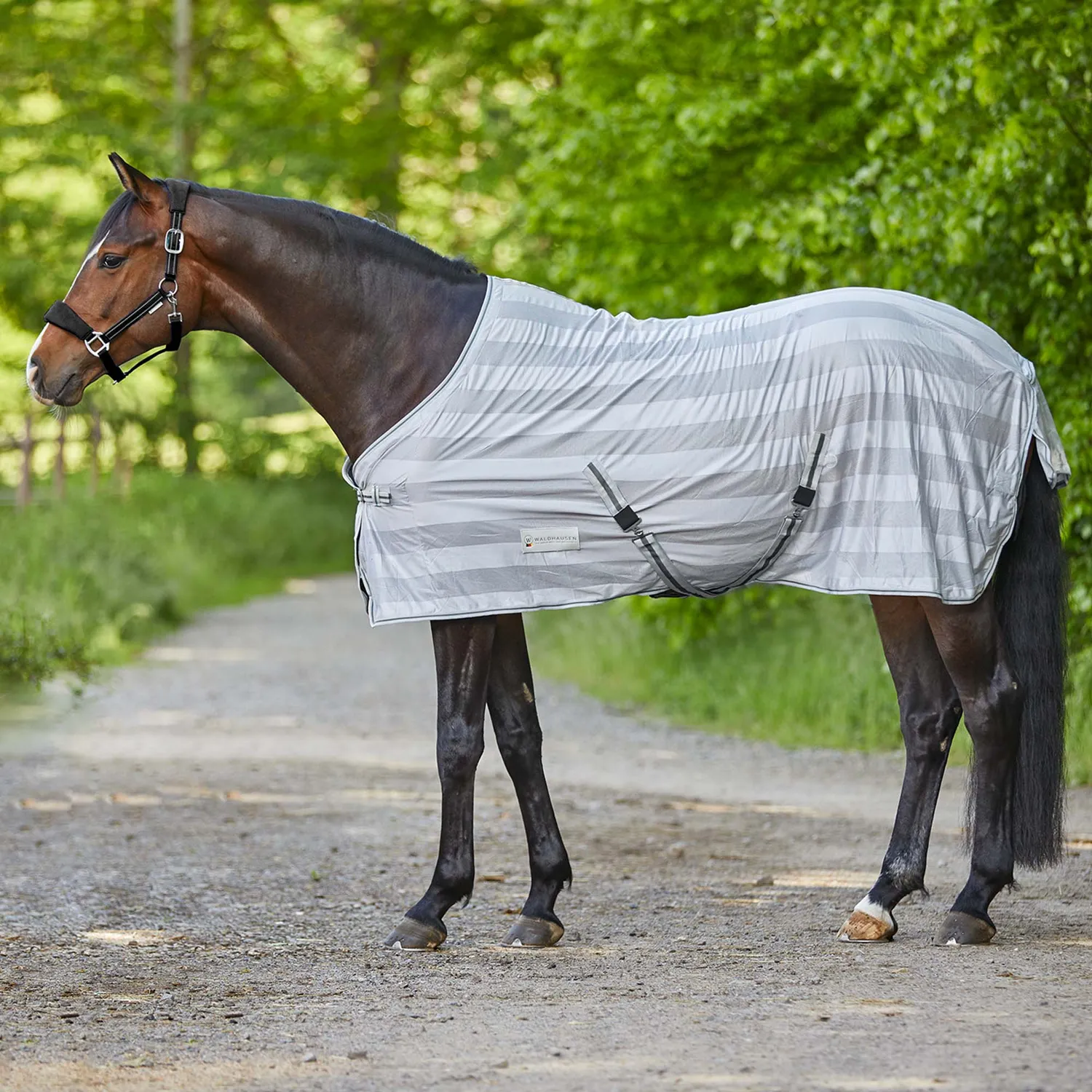 Beikircher Grünland Economic coperta antimosche 135 blu leggera