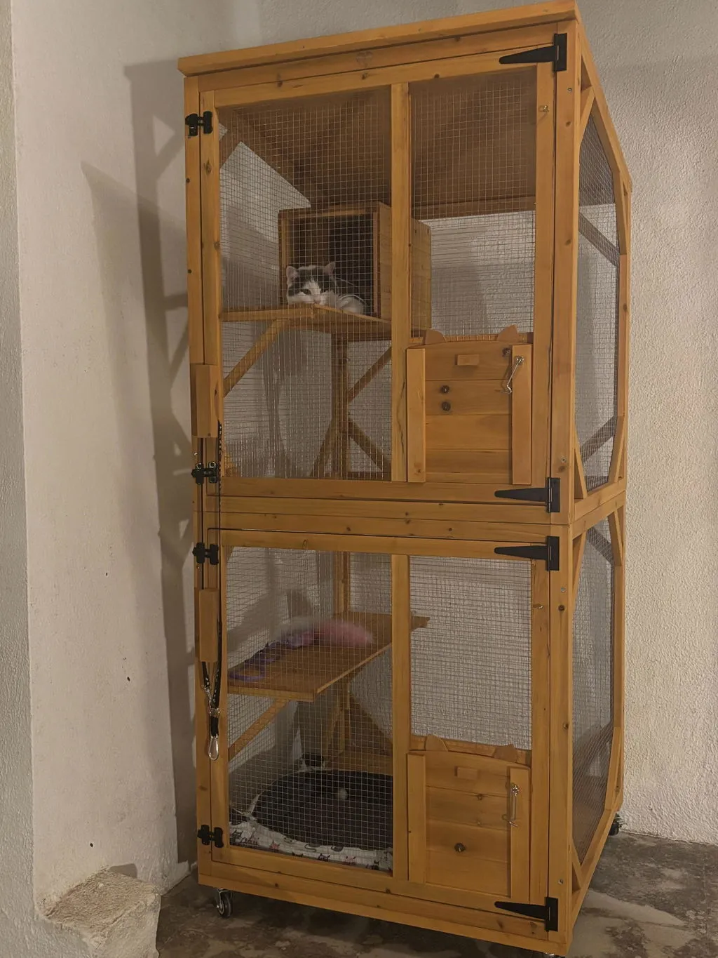 Il Verde Mondo Minou cuccia gatti esterno 80x86x180