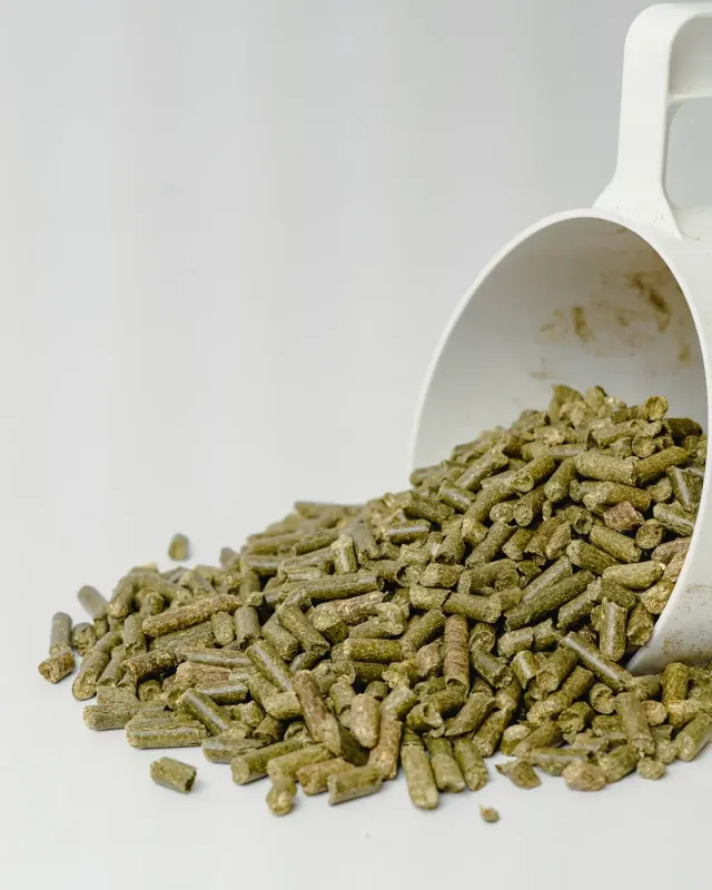 Siglhorse Luzernepellets pellet erba medica cavalli