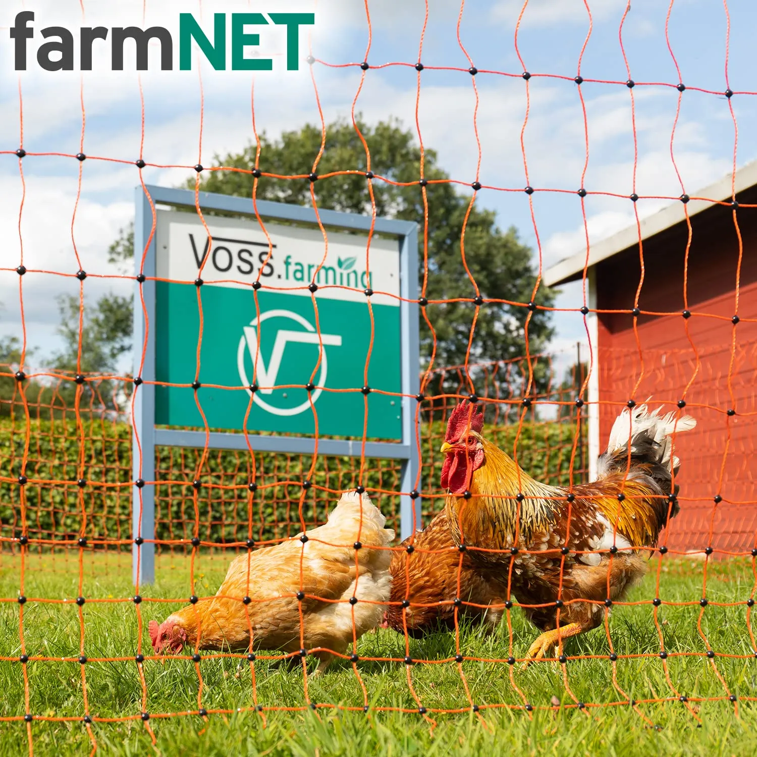 VOSS.farming farmNET+ Rete Pollame 50 m 112 cm Arancione
