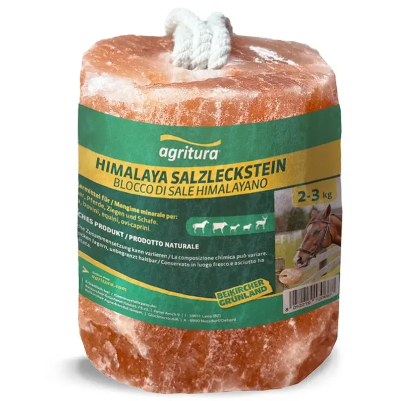 Beikircher Grünland Himalaya Pietra Sale 2-3 kg con Corda