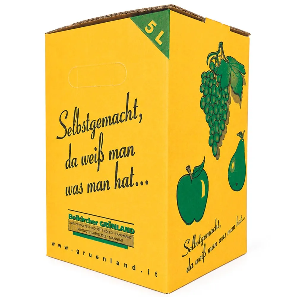 Bag in Box Complete contenitore succo 5 L cartone sacca