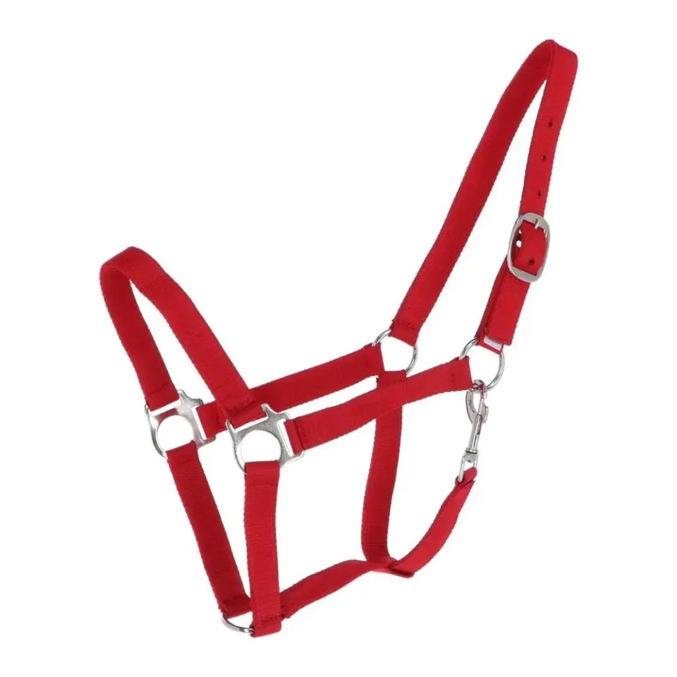 Beikircher Classic Cavezza Cavallo Nylon Doppia Treccia