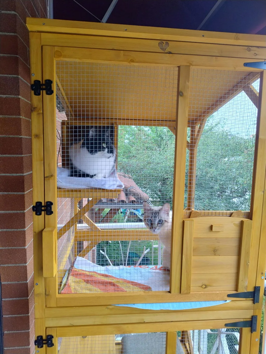 Il Verde Mondo Minou cuccia gatti esterno 80x86x180