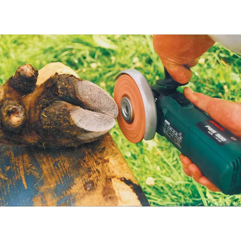 IP Philipsen Super Hoof 115 mm disco abrasivo zoccoli e corna