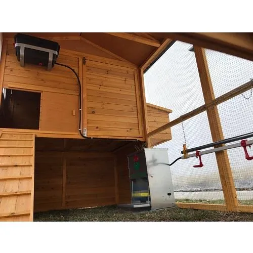 Il Verde Mondo Brahma XXXXL Plus kit pollaio legno con recinto