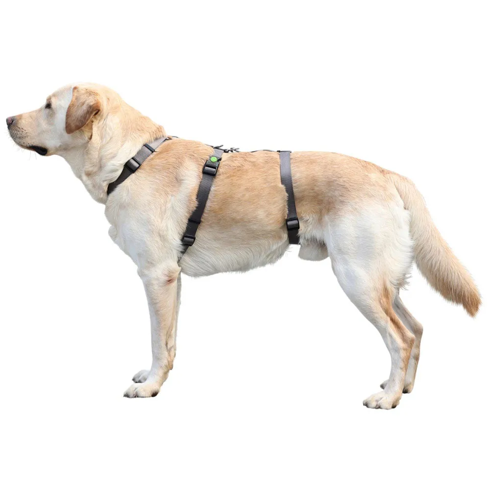 Beikircher Miami pettorina antipanico grigia 38-52 cm