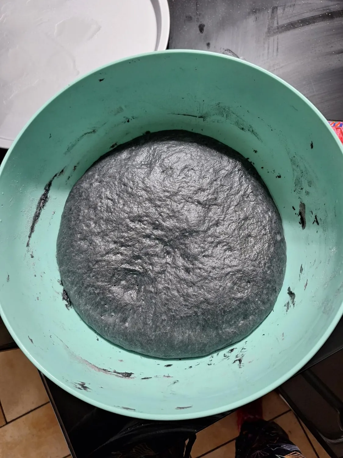 Terra di Cuma Carbone vegetale integratore 1 kg digestivo