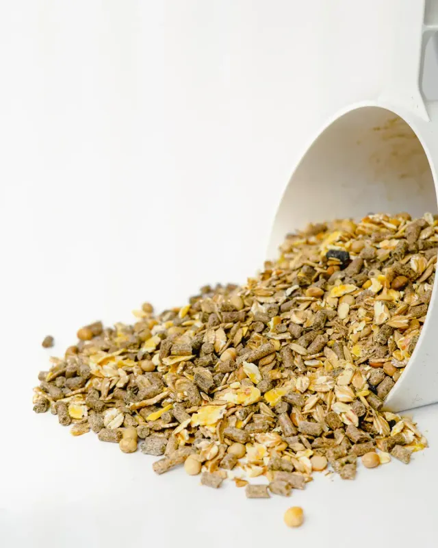 Siglhorse Mutter-Liebe muesli cavalli per fattrici proteico