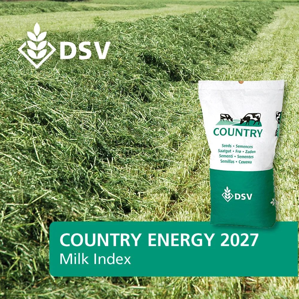 Wies.Country Energy 2027 miscela foraggio 25kg digeribile