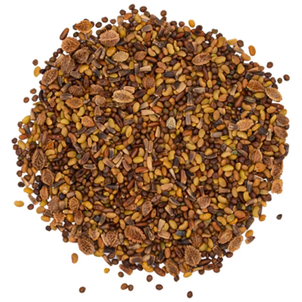 Beikircher Grünland ProGreen miscela erbe pascolo umido 5 kg 15 specie