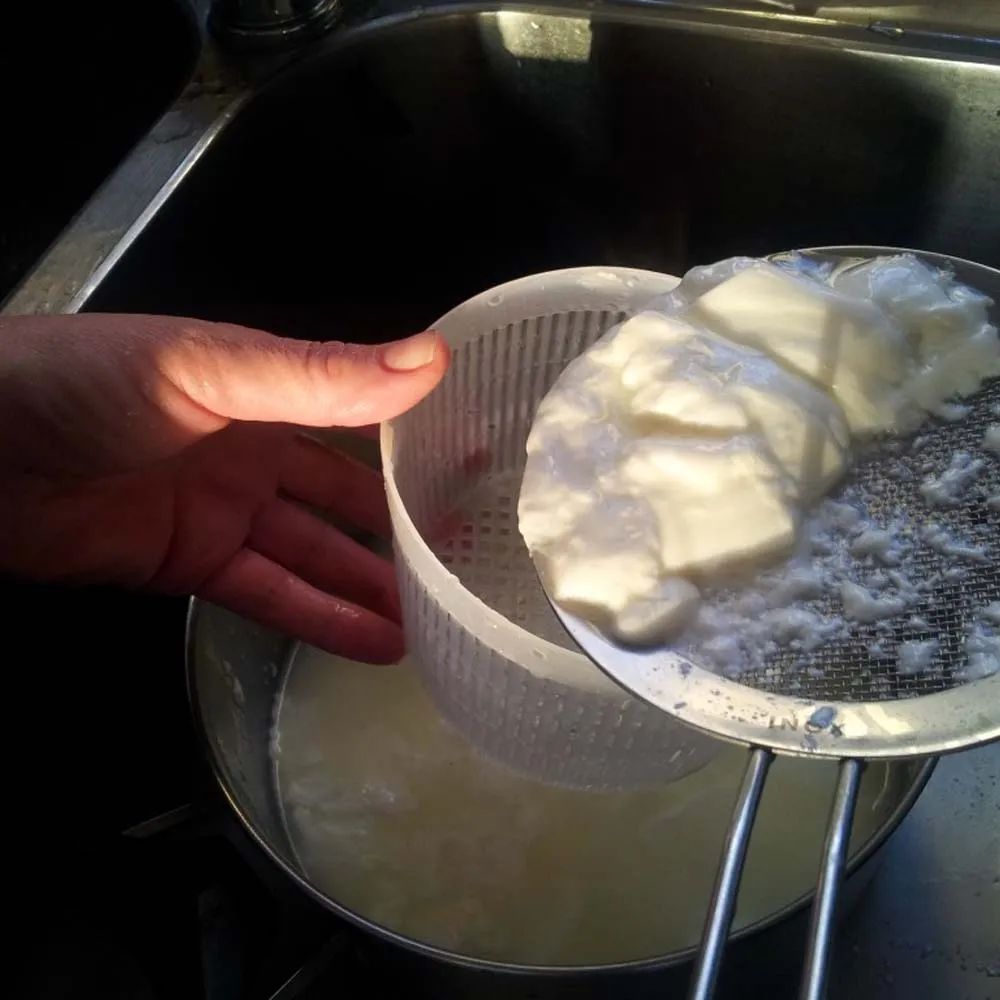 Beikircher stampo formaggio 1000 g fondo tondo da caseificio