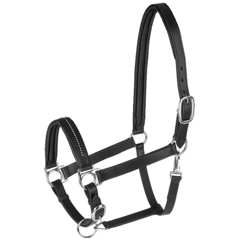 Star Diamond cavezza cuoio nero-argento regolabile Cob