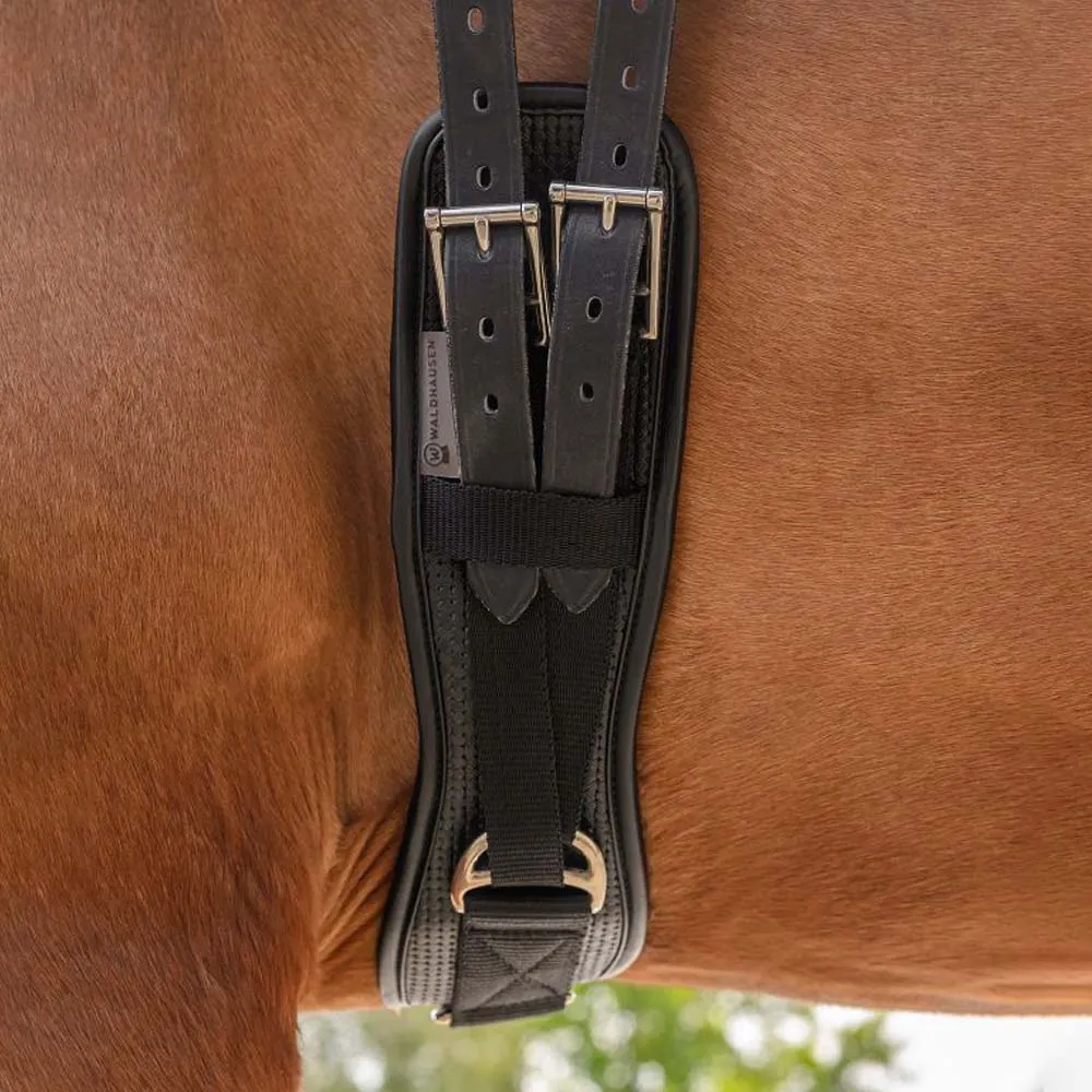 Beikircher Grünland Short Girth Basic Sottopancia Corto Nero
