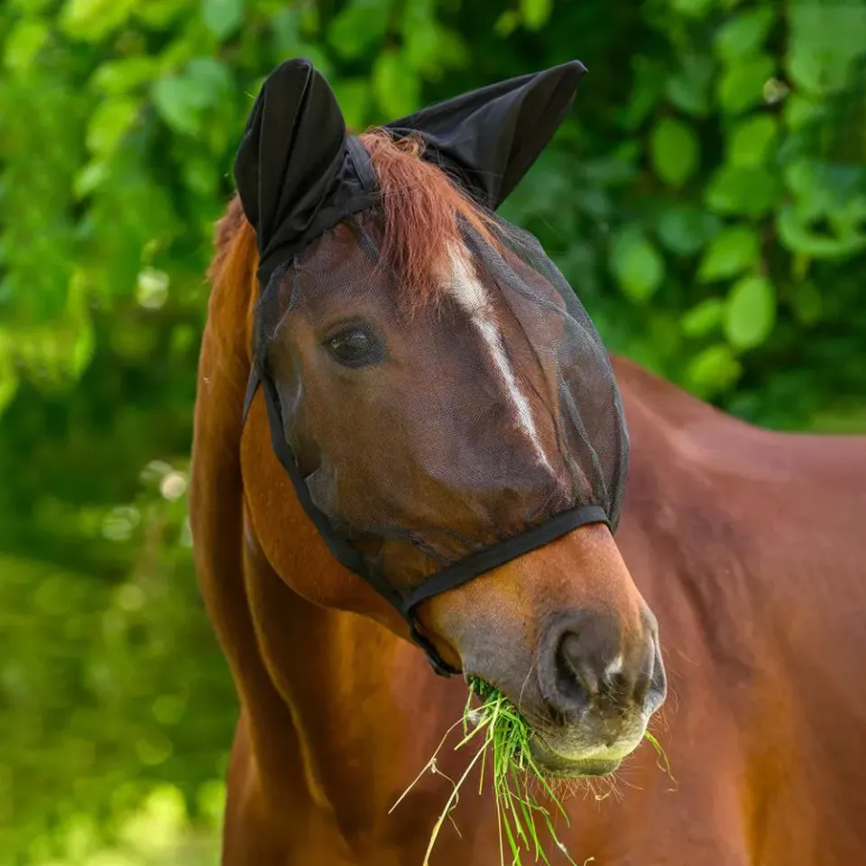Basic Maschera Antimosche Cavallo con Orecchie Nera