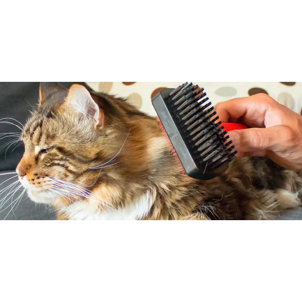 Beikircher GRO 5982 Spazzola Cardatore Cane Gatto Pelo Lungo