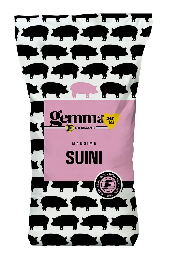 FA.MA.VIT. SUI Magroni mangime suini magronaggio completo