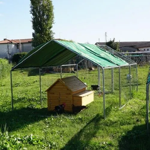 Il Verde Mondo Cocincina Plus XXXL kit pollaio 4x3 antipredatore
