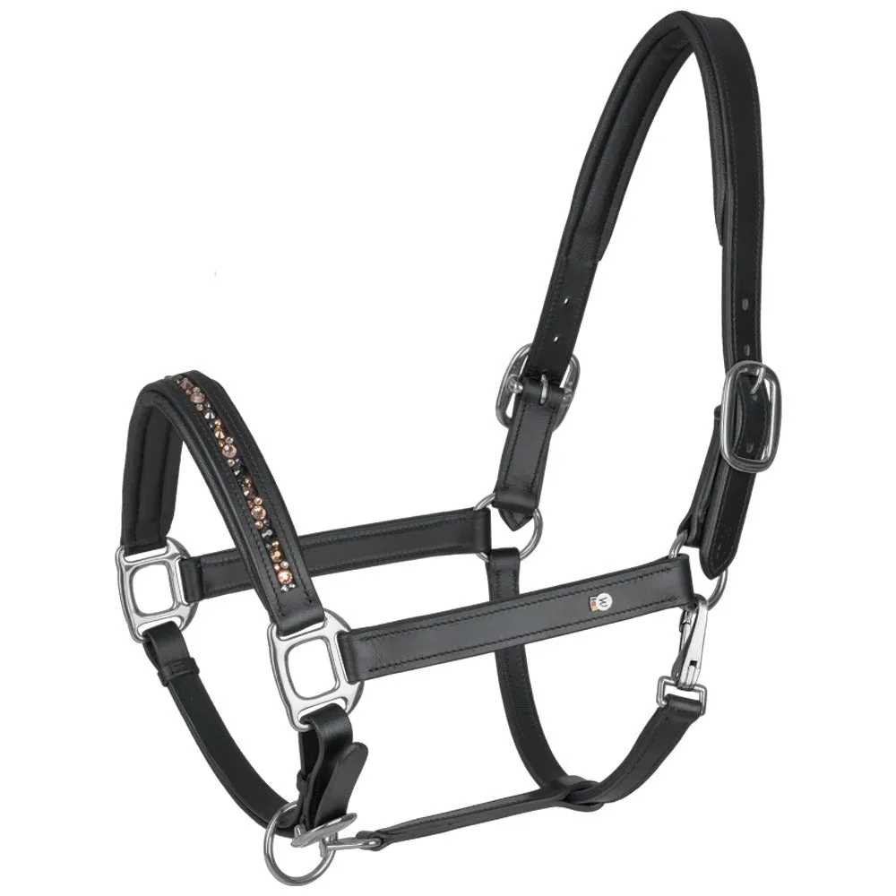 Waldhausen X-Line Crystal Cavezza Cuoio Nero Grigio Full