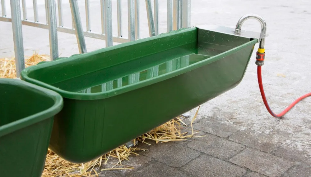 Abbeveratoio lungo plastica 42 L con galleggiante 100 cm