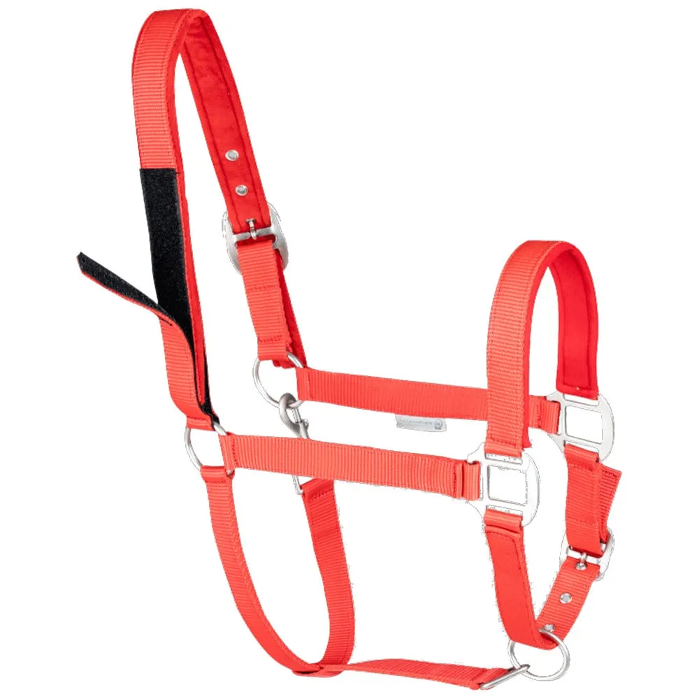 Beikircher Grünland Clever Open cavezza cavallo sicurezza nera Cob