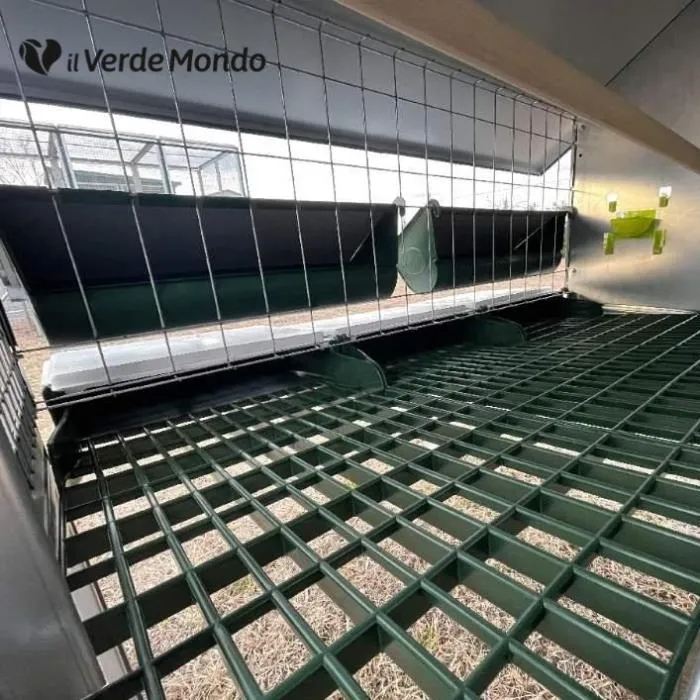 Il Verde Mondo Araucana pollaio ferro vassoio feci