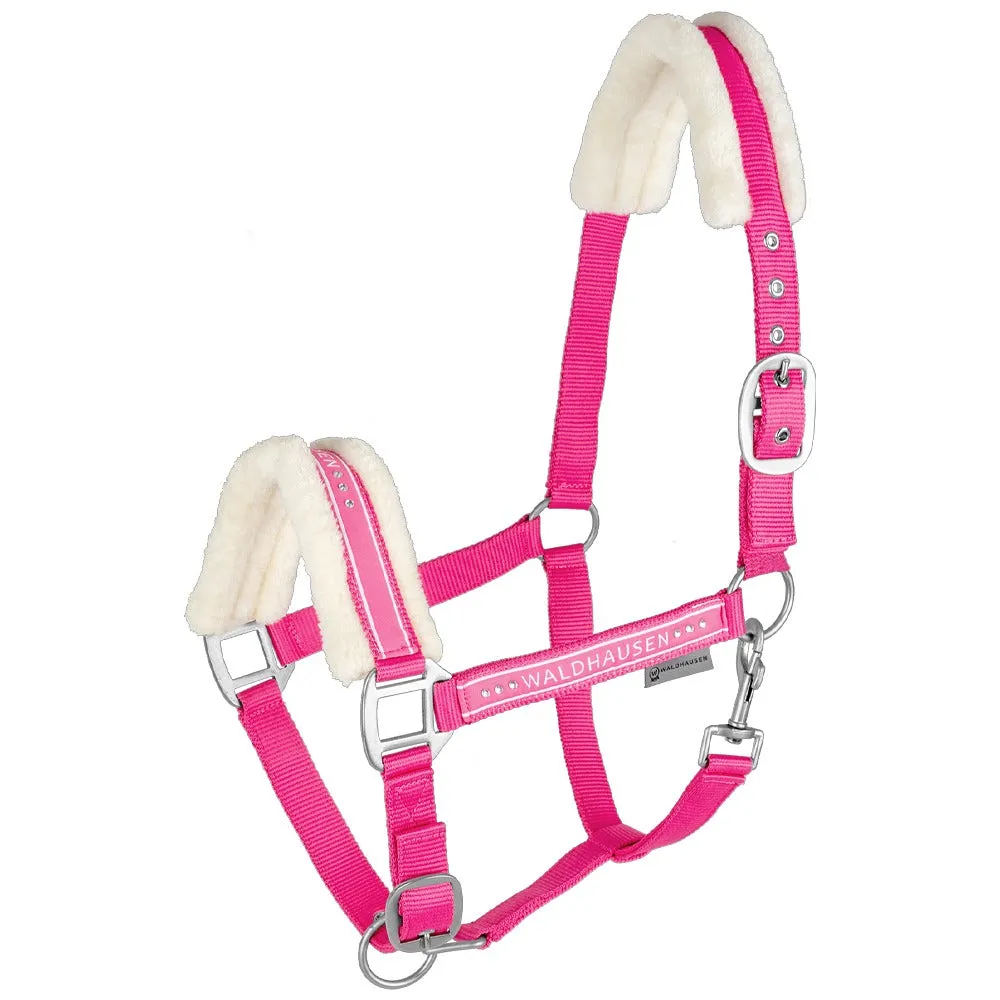 Beikircher Grünland Elegant capezza cavallo glitter imbottita
