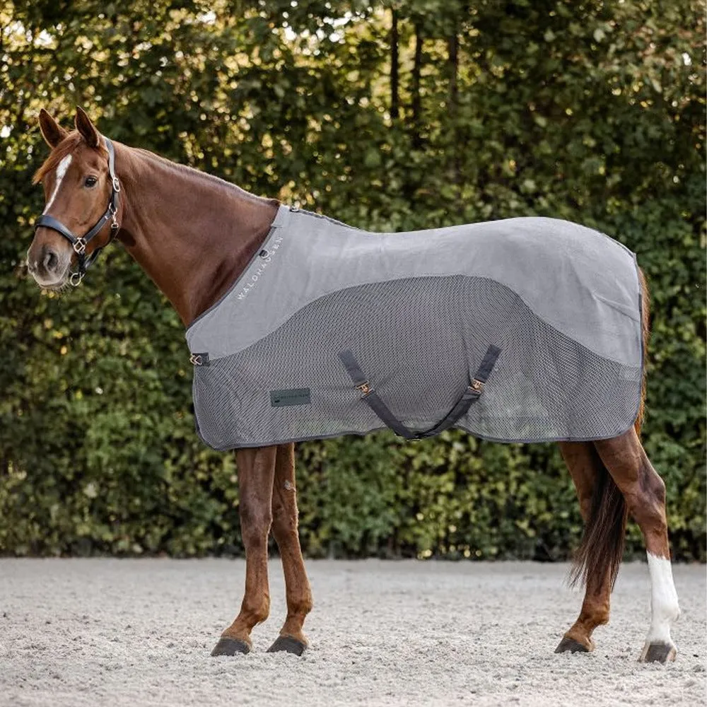 Beikircher Grünland Comfort coperta antimosche cavallo 145cm rete