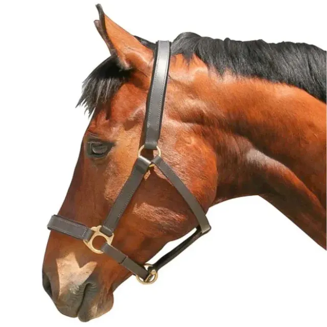 Beikircher Grünland Eco Halter Cavezza Pelle Nero 2 Cob