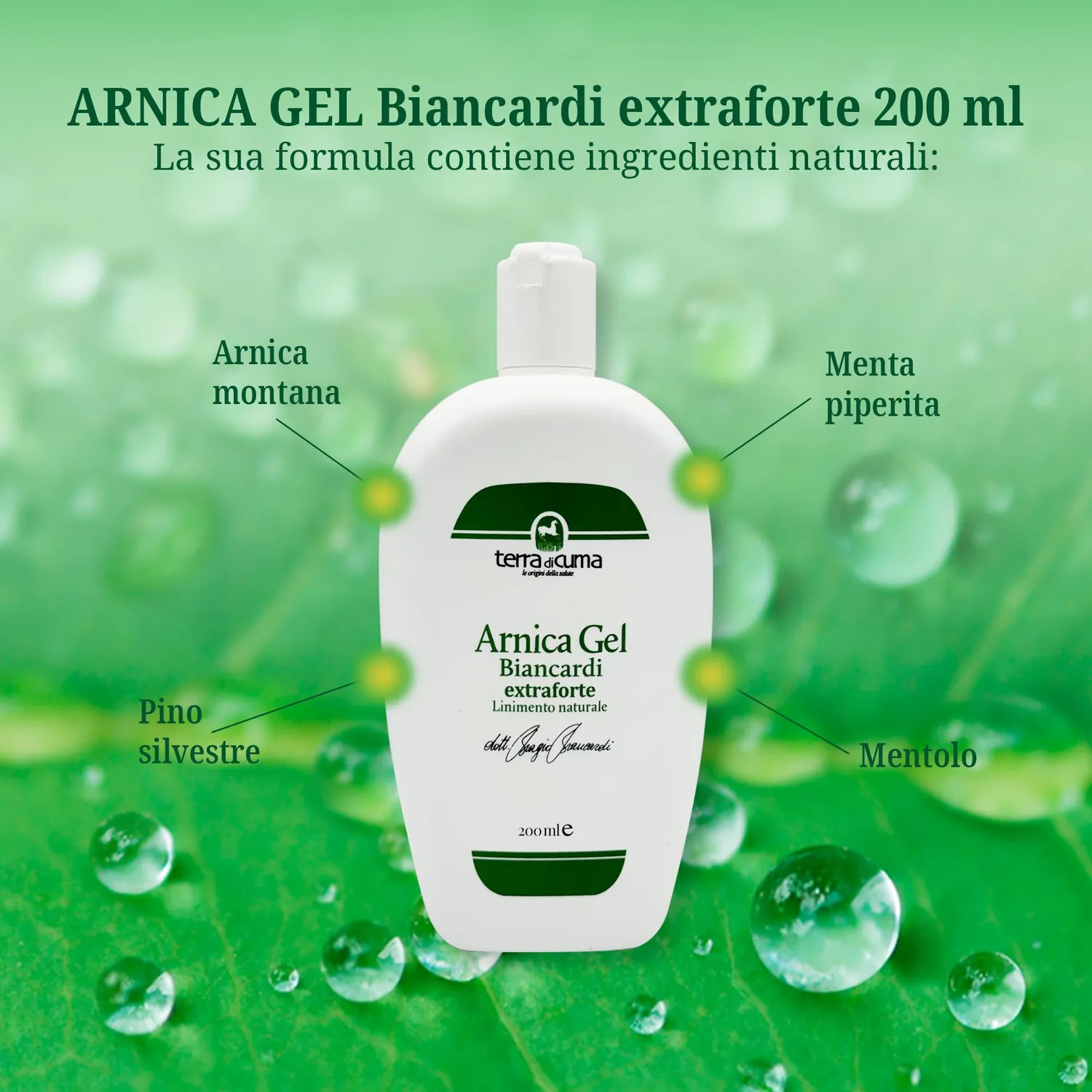 Terra Di Cuma Biancardi Extraforte gel arnica 200ml menta