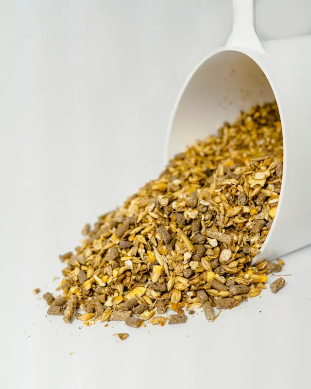 Siglhorse Einfach & Gut Muesli per Cavalli con Mela