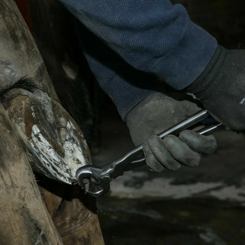 Knipex tenaglia per zoccoli bovini professionale 30 cm