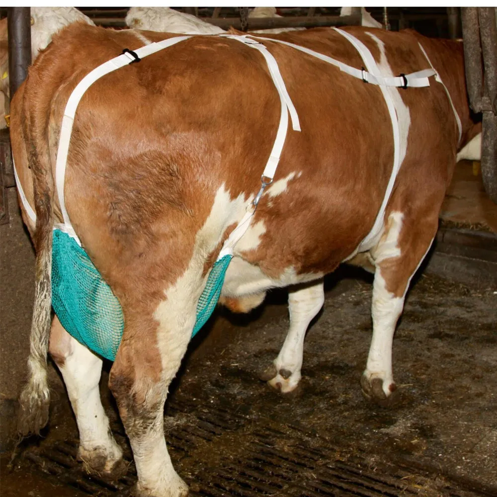 Beikircher Grünland protezione mammella vacche con cinghia