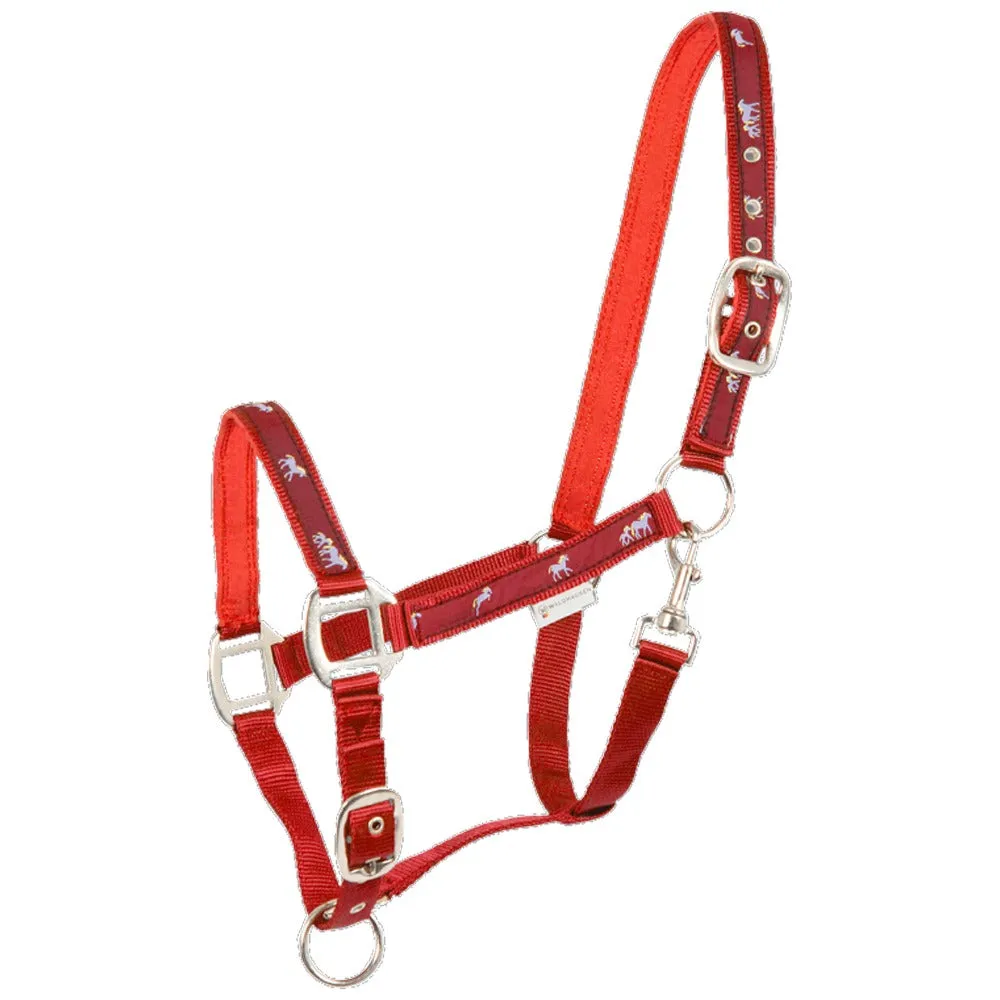 Pferdchen cavezza cavallo imbottita nera regolabile Full