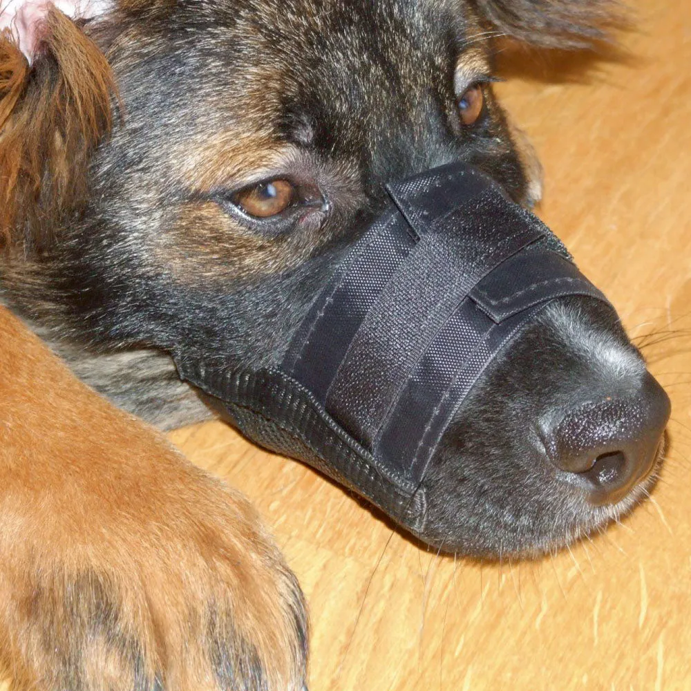 Beikircher Grünland museruola cane nylon nera regolabile rete