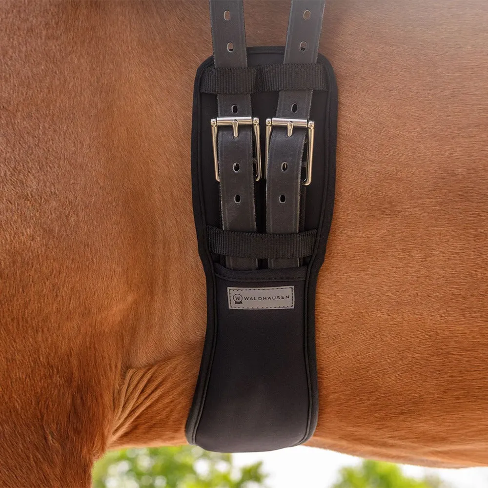 Beikircher Grünland Sottopancia dressage gel 75 cm elastico