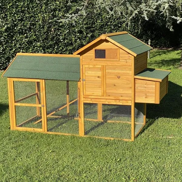 Il Verde Mondo Padovana XXL Pollaio Legno 6-8 Galline