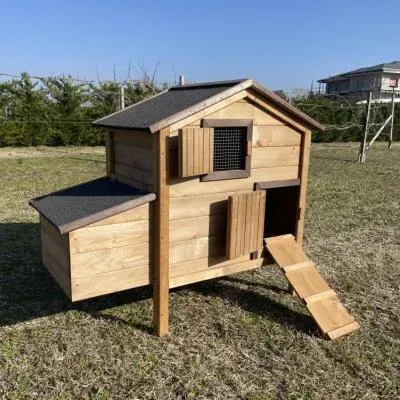 Il Verde Mondo Cocincina Mini pollaio legno rialzato per 4 galline