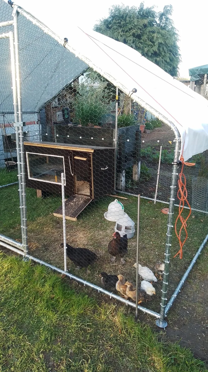 VOSS.farming farmNET+ Premium Rete Pollame 50 m 112 cm Arancione 20 Pali