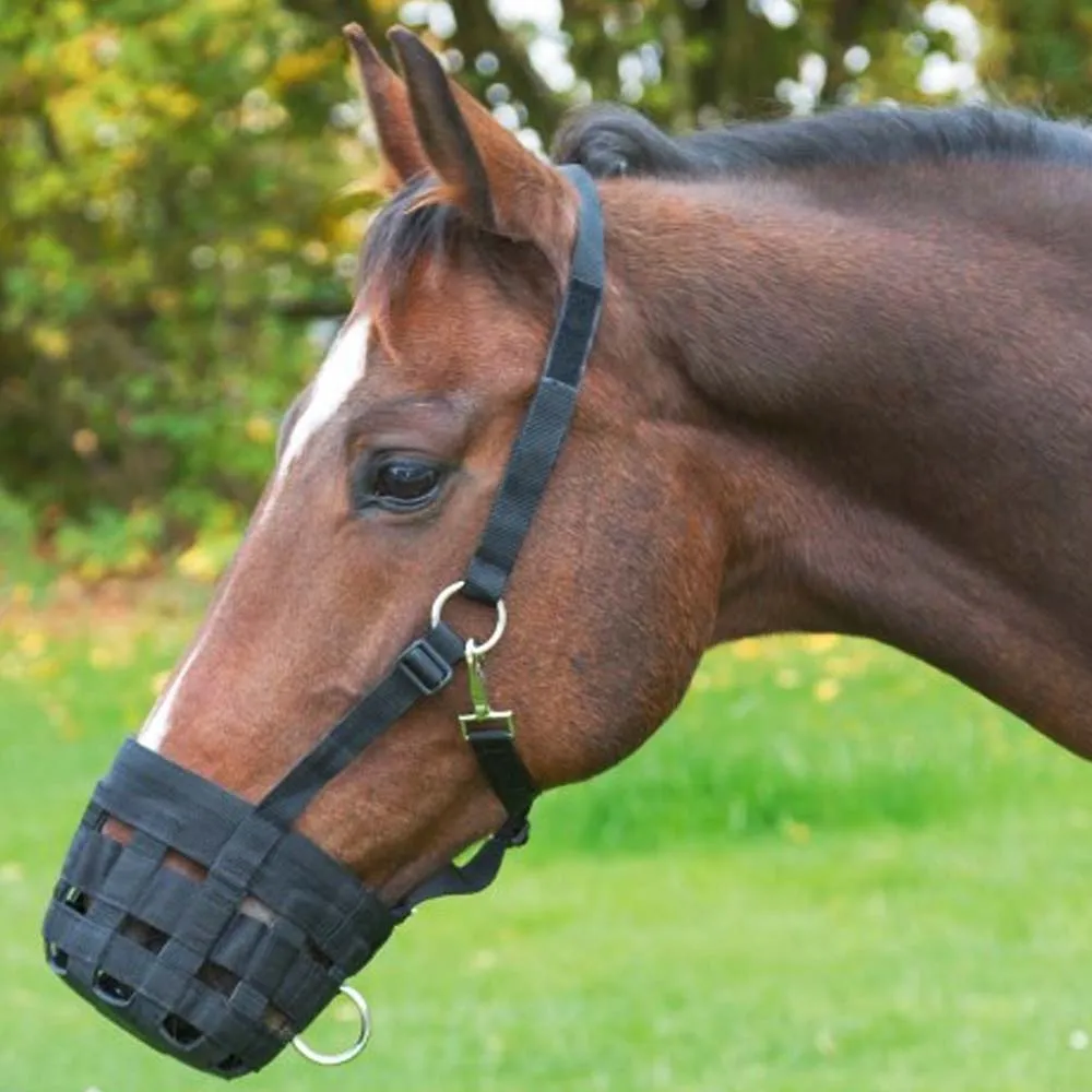 Beikircher Grünland museruola pascolo cavallo full