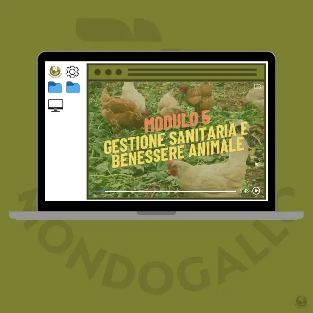 Il Verde Mondo Modulo 5 video corso gestione sanitaria